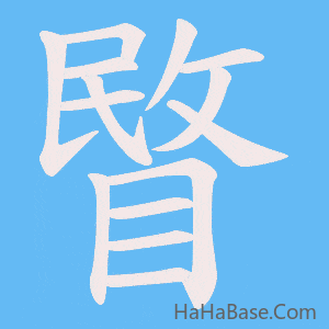 《睯》的筆順動畫寫字動畫演示