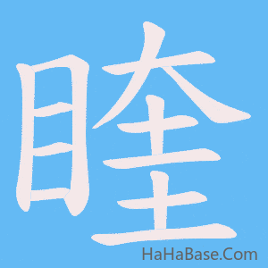 《睳》的筆順動畫寫字動畫演示