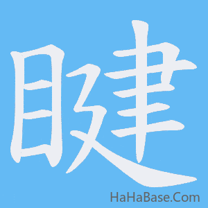 《睷》的筆順動畫寫字動畫演示