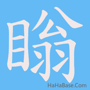 《瞈》的筆順動畫寫字動畫演示