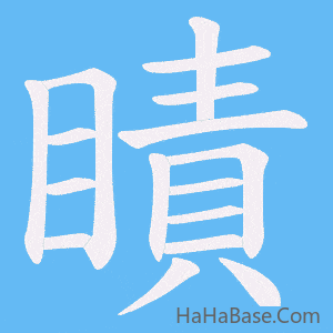 《瞔》的筆順動畫寫字動畫演示