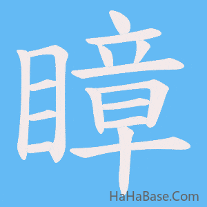 《瞕》的筆順動畫寫字動畫演示