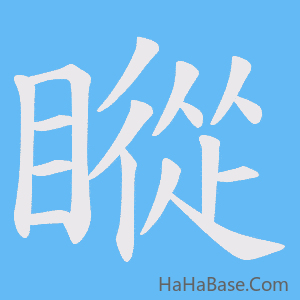 《瞛》的筆順動畫寫字動畫演示