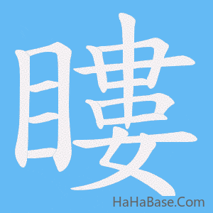 《瞜》的筆順動畫寫字動畫演示