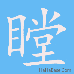 《瞠》的筆順動畫寫字動畫演示
