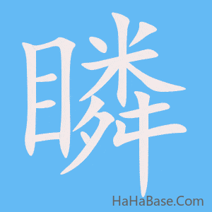 《瞵》的筆順動畫寫字動畫演示