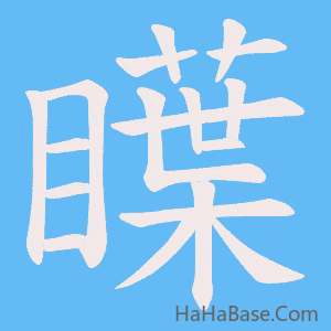 《瞸》的筆順動畫寫字動畫演示