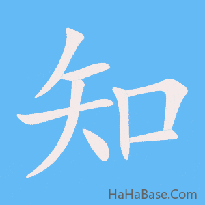 《知》的筆順動畫寫字動畫演示