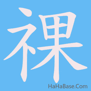 《祼》的筆順動畫寫字動畫演示