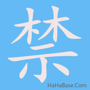 《禁》的筆順動畫寫字動畫演示