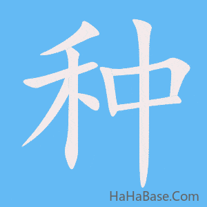 《种》的筆順動畫寫字動畫演示
