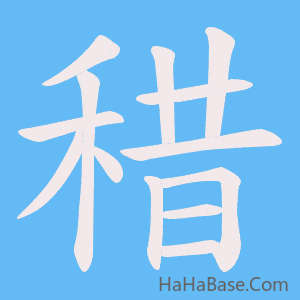 《稓》的筆順動畫寫字動畫演示