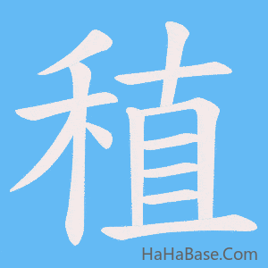 《稙》的筆順動畫寫字動畫演示