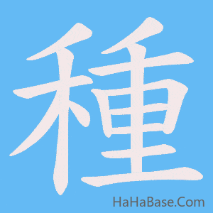 《種》的筆順動畫寫字動畫演示