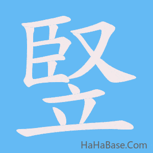 《竪》的筆順動畫寫字動畫演示