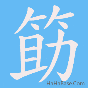 《筯》的筆順動畫寫字動畫演示
