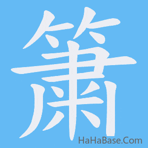 《簘》的筆順動畫寫字動畫演示