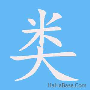 《类》的筆順動畫寫字動畫演示