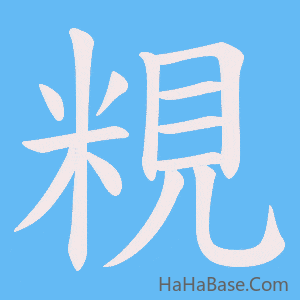 《粯》的筆順動畫寫字動畫演示