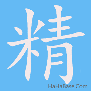 《精》的筆順動畫寫字動畫演示