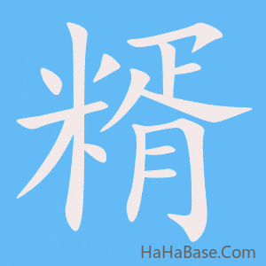 《糈》的筆順動畫寫字動畫演示