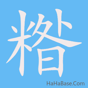 《糌》的筆順動畫寫字動畫演示