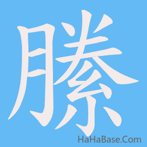 《縢》的筆順動畫寫字動畫演示