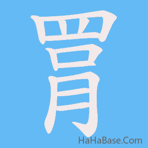 《罥》的筆順動畫寫字動畫演示