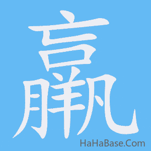 《羸》的筆順動畫寫字動畫演示