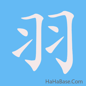 《羽》的筆順動畫寫字動畫演示