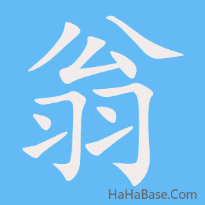 《翁》的筆順動畫寫字動畫演示