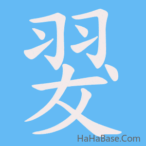 《翇》的筆順動畫寫字動畫演示
