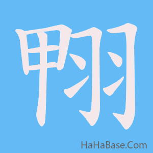 《翈》的筆順動畫寫字動畫演示