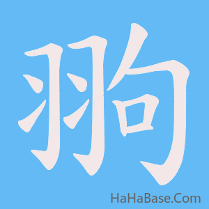 《翑》的筆順動畫寫字動畫演示