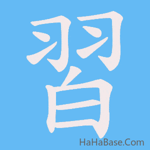 《習》的筆順動畫寫字動畫演示