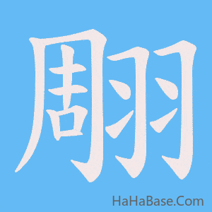 《翢》的筆順動畫寫字動畫演示