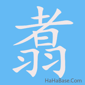 《翥》的筆順動畫寫字動畫演示