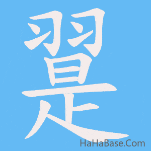 《翨》的筆順動畫寫字動畫演示