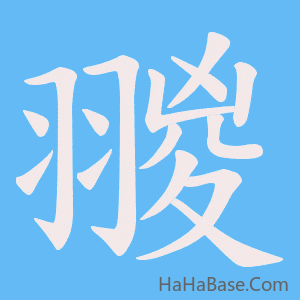 《翪》的筆順動畫寫字動畫演示