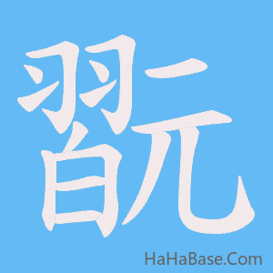 《翫》的筆順動畫寫字動畫演示