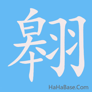 《翱》的筆順動畫寫字動畫演示