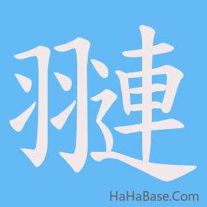 《翴》的筆順動畫寫字動畫演示