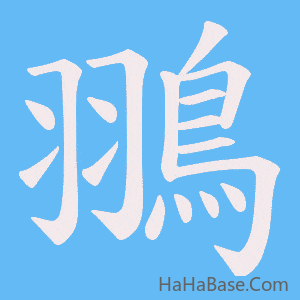 《翵》的筆順動畫寫字動畫演示