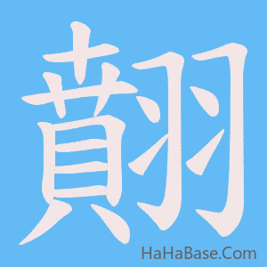 《翸》的筆順動畫寫字動畫演示