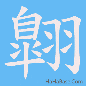《翺》的筆順動畫寫字動畫演示