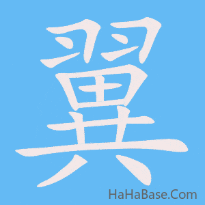 《翼》的筆順動畫寫字動畫演示