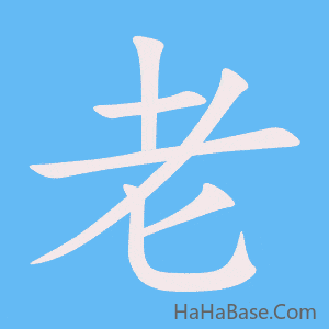 《老》的筆順動畫寫字動畫演示