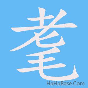 《耄》的筆順動畫寫字動畫演示