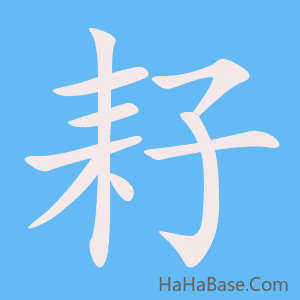 《耔》的筆順動畫寫字動畫演示