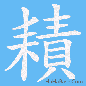 《耫》的筆順動畫寫字動畫演示